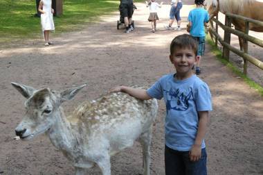 Haus am Kastanienwald