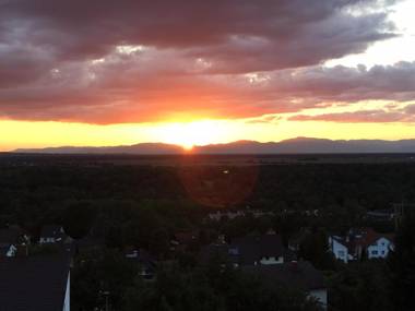 Ferienhaus Rheintalblick