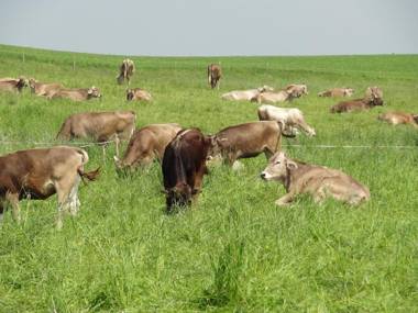 Ferienwohnung Sonnenaufgang