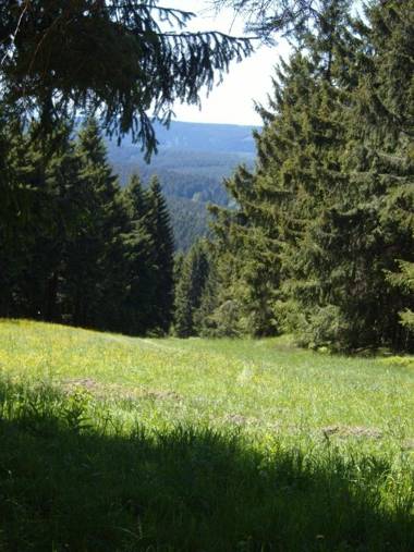 Ferienwohnung-Kaehler