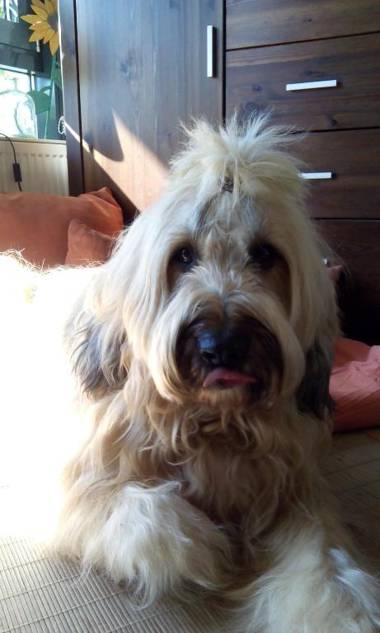 Ferienappartement Potthoff 2