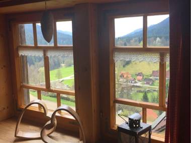 Vibrant Holiday Home in Reinerzau with Sauna