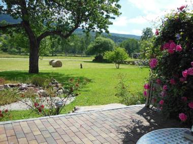 5-Sterne-Fewo "Facette"