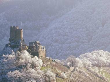 Moselhotel Burg-Café
