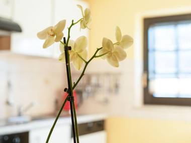 Modern Apartment in Merschbach Hunsruck with garden