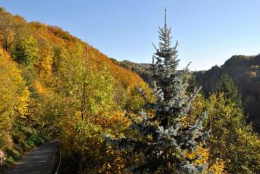 FeWo Radi an der Buchberger Leite