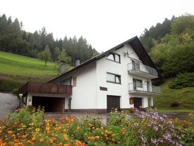 Modern Apartment in Bad Peterstal-Griesbach with Vineyards