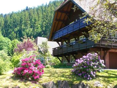 Cozy Apartment in Bad Rippoldsau-Schapbach with a view