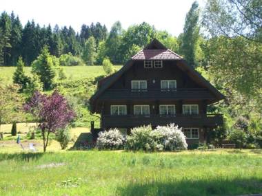 Cozy Apartment in Bad Rippoldsau-Schapbach with a view