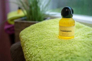 Apartmenthaus am Erlbach