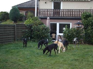 Garden-view Apartment in Heringhausen  Lake  City Centre