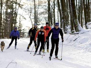 Pet-friendly mansion in the Hochsauerland region with garden and terrace