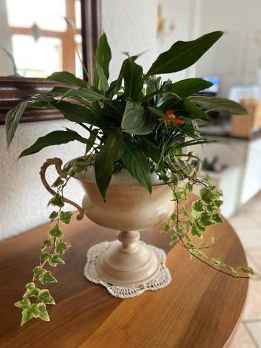 Hotel Bett & Frühstück