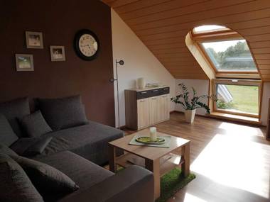 Ferienwohnung Hahn 95129