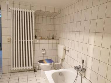 Alb-Rose Sonnenbühl