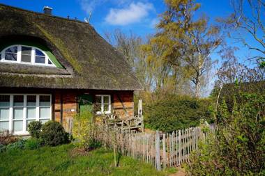 Reethaus Mertinat For Six