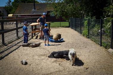 Ferienhof Nina Weilandt