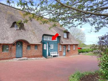 Herzmuschel 10 Herrenhof