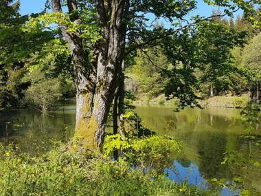 Ferienwohnung Pusteblume