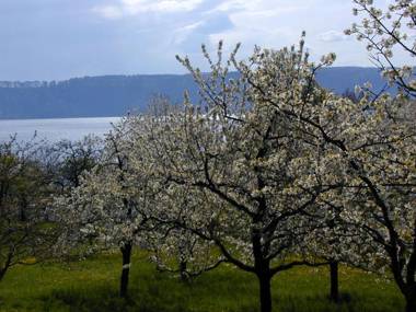Gästehaus St. Martin
