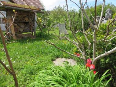 Ferienwohnung zum Haselbach