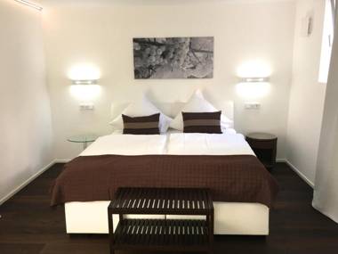 Weingut-Aparthotel Olinger