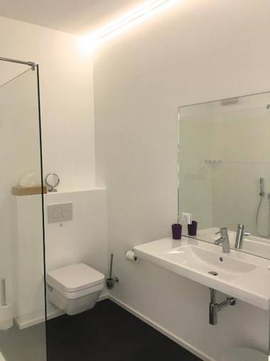 Weingut-Aparthotel Olinger