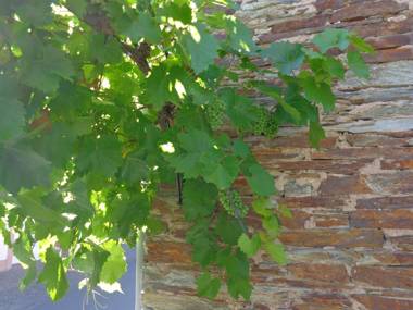 Ferienwohnungen Leo Werland-Ehses