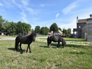 Quaint Holiday Home in Detershagen with Private Terrace