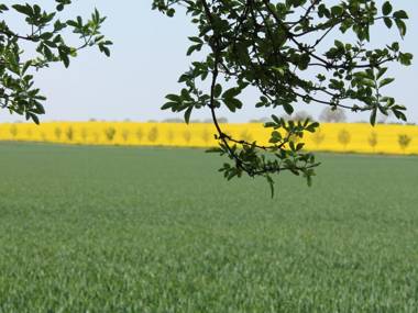 Modern Holiday Home in Detershagen with Private Terrace