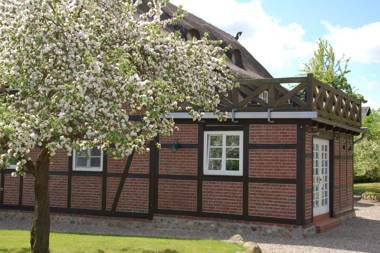 Reet und Meer Beckerwitz