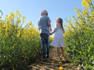 Spacious Apartment in Beckerwitz with Garden