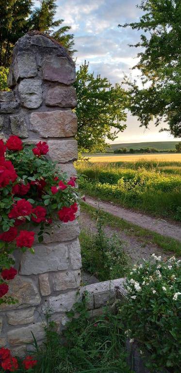 Ferienwohnung Am Backhausgarten