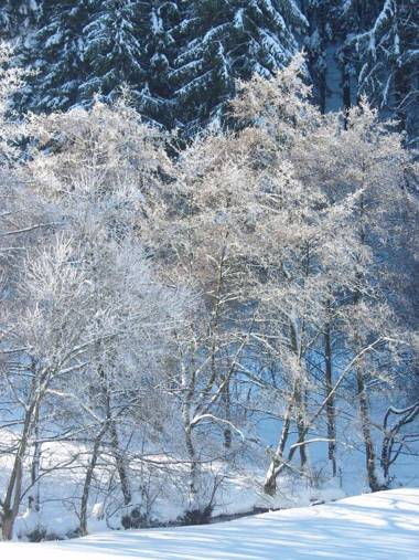 Birgits Landhaus Willingen