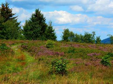 Gästehaus Kramer - Emde