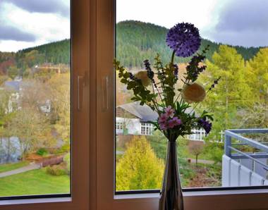 Ferienwohnung M am Kurpark**** inkl. MeineCard+