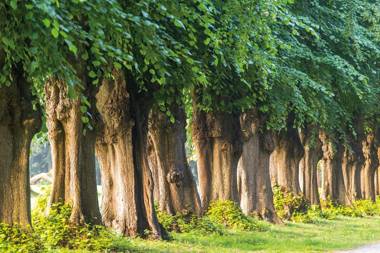 Weissenhaus Grand Village