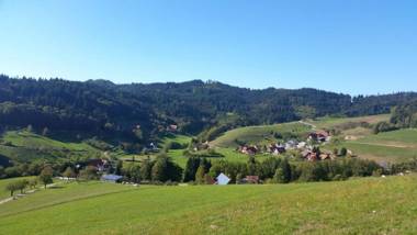 Ferienwohnung Hohfelsenblick