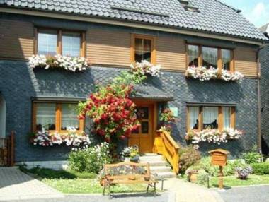 Comfortable apartment in the middle of the Thuringian Forest with garden and terrace