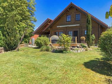 Comfortable holiday home with sauna terrace and private garden