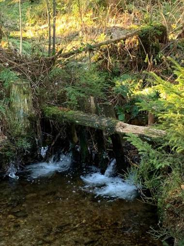 Ferienwohnung Fichtelzauber