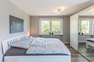 Schobüller Austernfischer