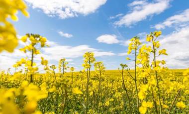 Ferienwohnung Flensfjord