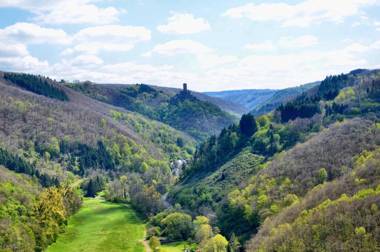 Pension "Haus am Walde" Brodenbach Mosel