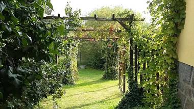 Genesungsort Landhaus Dammert