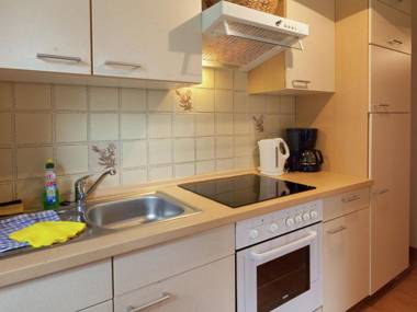 Modern Apartment in Reinhardtsdorf Sch na near Ski Slopes