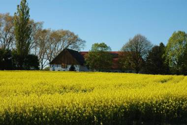 Holsteinhaus-Zirmoisel