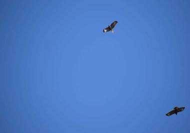 Hotel Haus Seeblick Apartments Am See