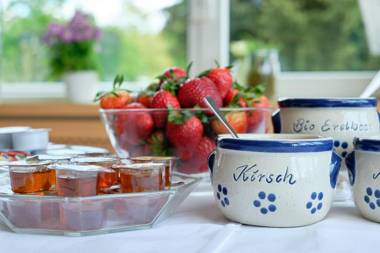 Apartment Landhotel Zum Storchennest