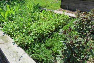 Hotel Gasthof Kammbräu